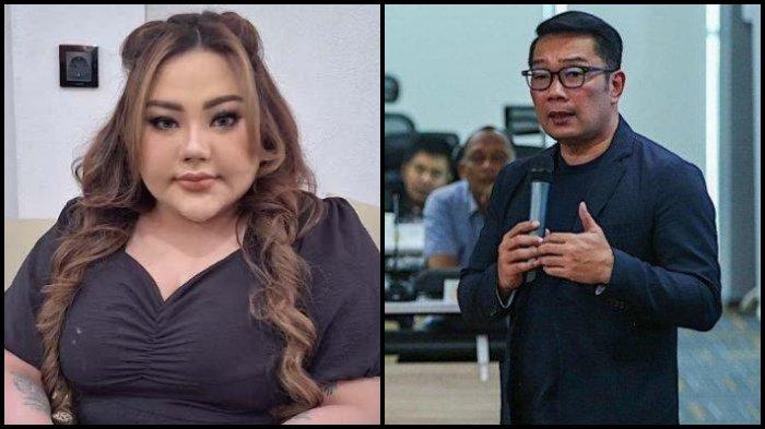 link sidang perdata RK dan Lisa Mariana