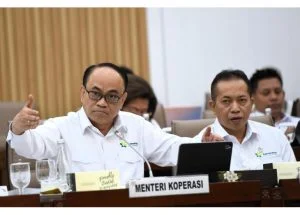 pdip budi arie