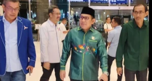 rommy ppp