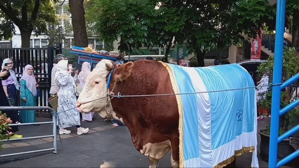 Presiden Prabowo Subianto Serahkan Sapi untuk Masjid Al Ukhuwah Bandung