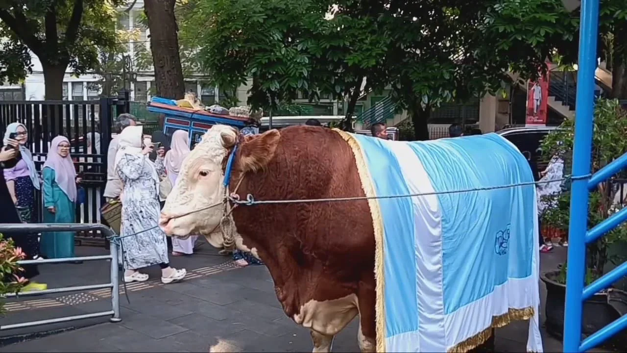 Presiden Prabowo Subianto Serahkan Sapi untuk Masjid Al Ukhuwah Bandung