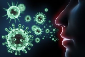 Virus Hanta