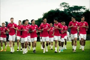 Indonesia vs China