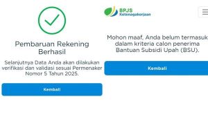 BSU 2025-3