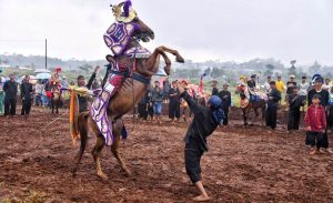 Cibogo Horse Festival - Dok Humas Jabar