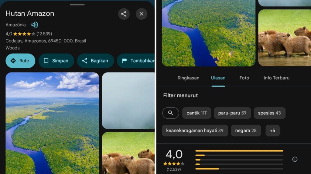 Hutan Amazon