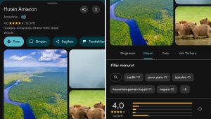 Hutan Amazon