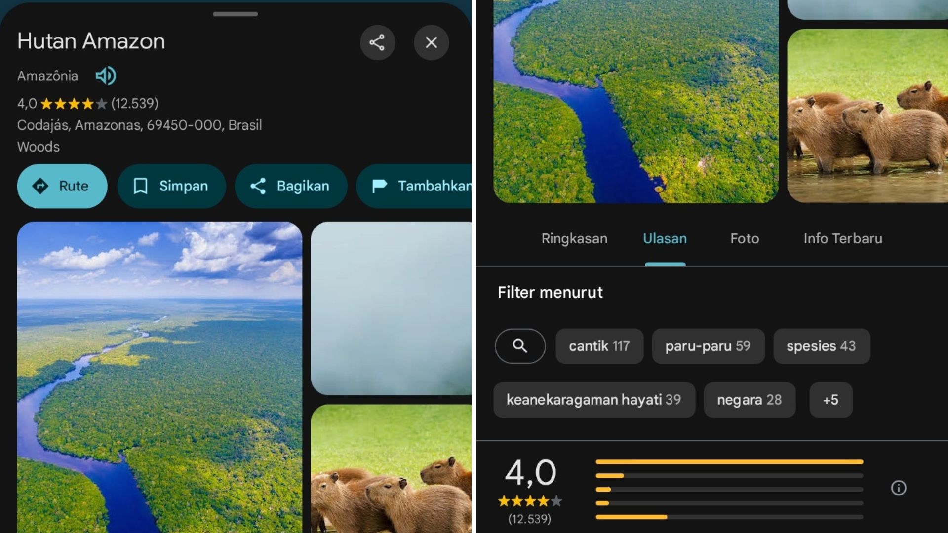 Hutan Amazon