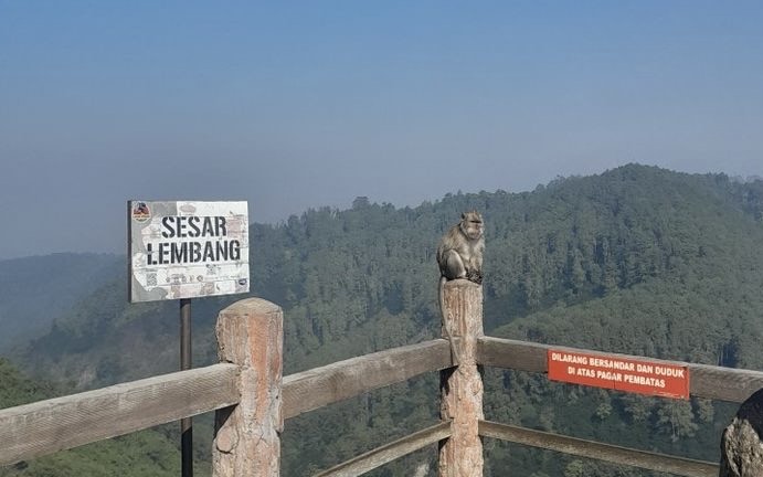 Ancaman Gempa Skala Besar Intai Kota Bandung, BMKG Imbau Masyarakat Siap Siaga