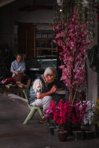 IMG_8076-1-1-scaled-1