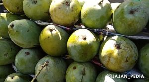 Indramayu Kota Mangga - Dok YouTube Jajan Pedia