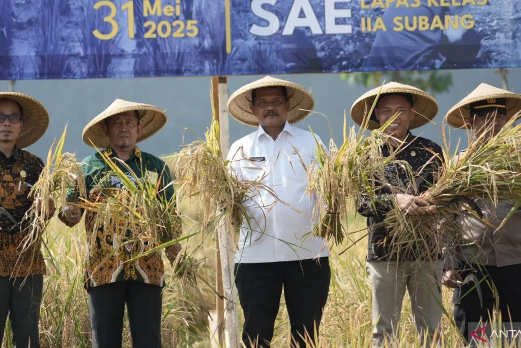 Lapas Subang Panen