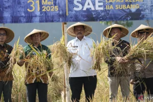 Lapas Subang Panen