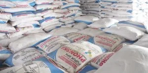 Kios Pupuk Subsidi
