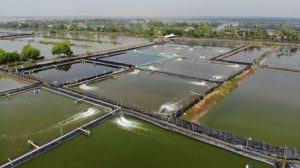 Revitalisasi Tambak Indramayu