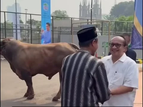 Sapi Kurban Gereja Katedral