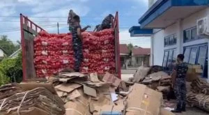 TNI Gagalkan Penyelundupan 11,1 Ton Bawang Bombay Ilegal di Pelabuhan Ketapang