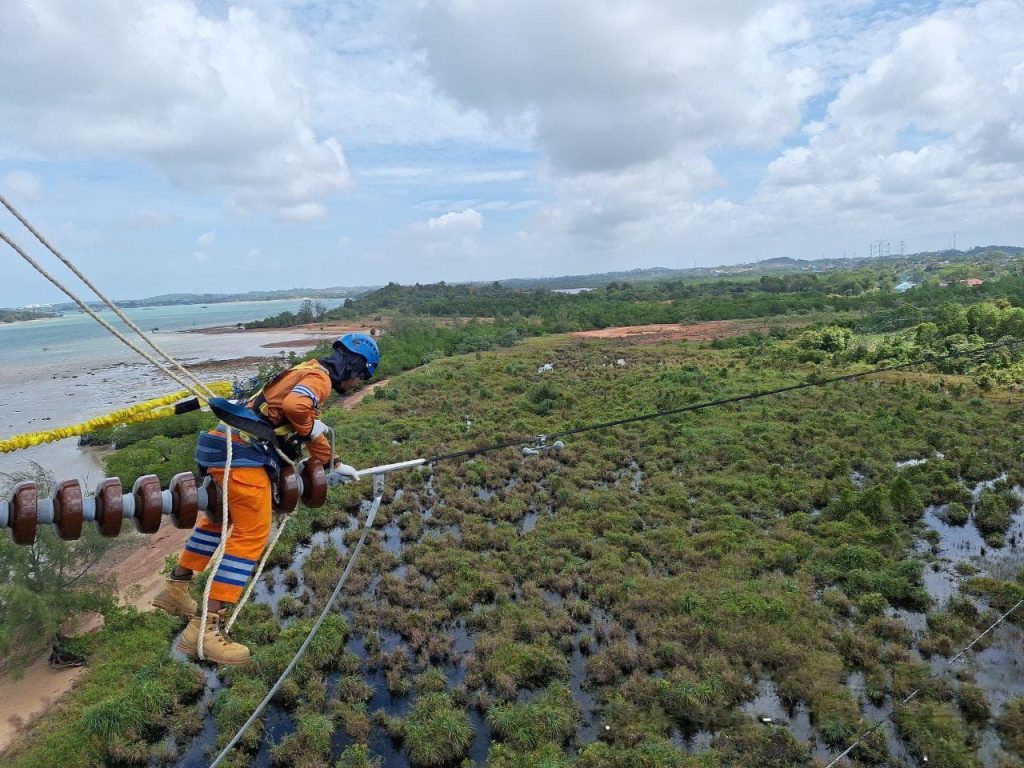 Wujud Kontribusi ke Negara, PLN Setor Rp65,59 Triliun Lewat Dividen, Pajak, dan PNBP