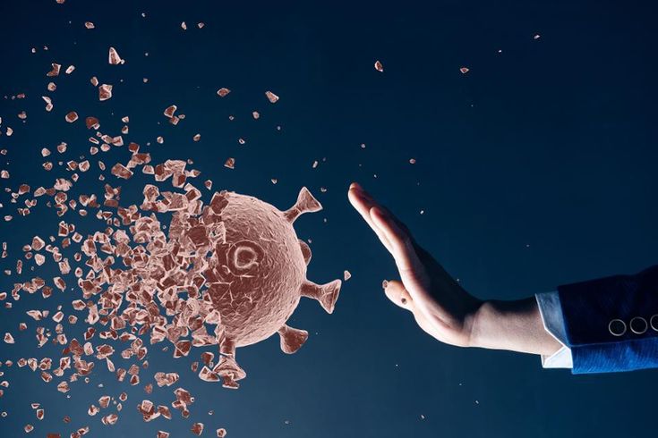 Virus Hanta
