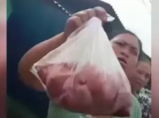 daging kurban dijual di bekasi - YouTube