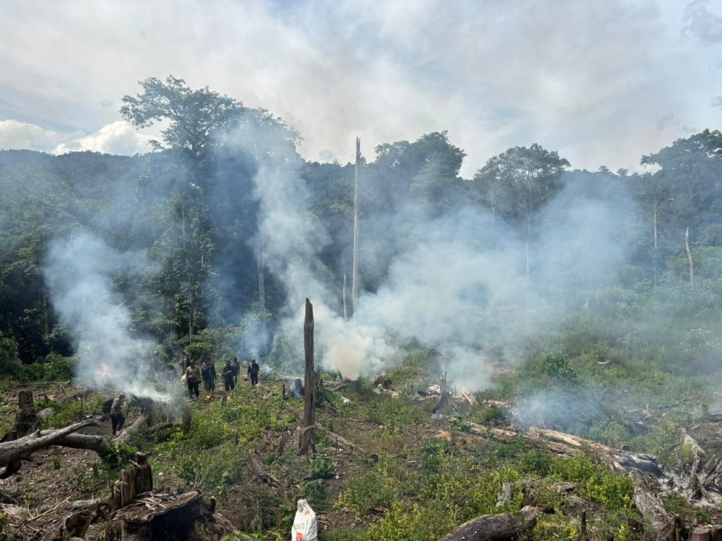 Ganja di Aceh