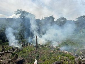 Ganja di Aceh