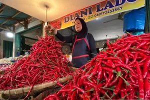 Harga Kebutuhan Pokok