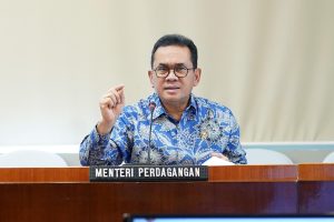10 Komoditas Ini Bakal Dapat Relaksasi Impor, Salah Satunya Food Tray