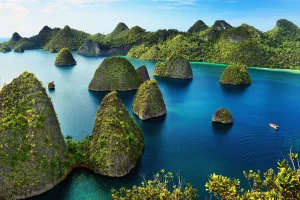 Tambang Nikel Raja Ampat, KKP Terjunkan Tim Polisi Khusus