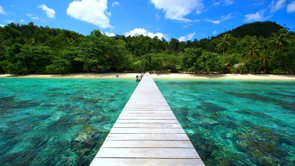 Tambang Nikel Raja Ampat, Kementerian ESDM Sebut Tidak Menemukan Gangguan Lingkungan Signifikan?