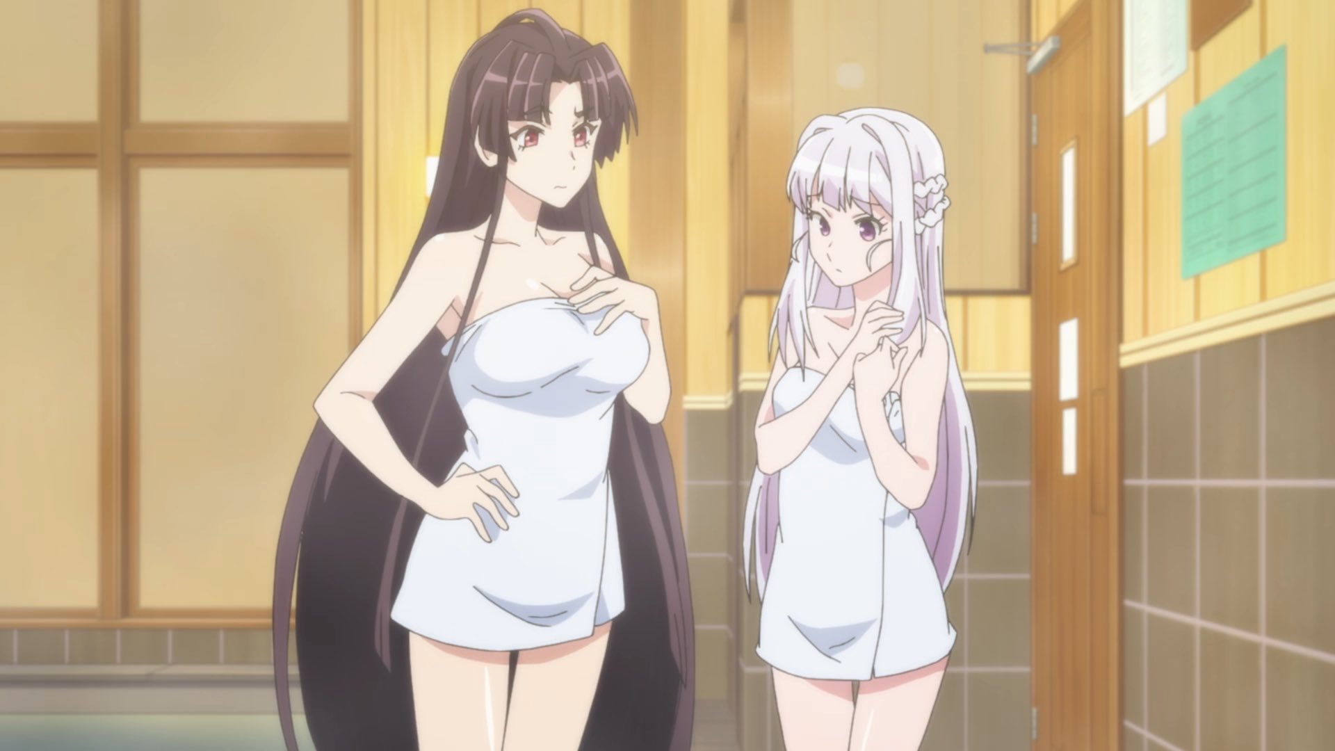 Anime Ecchi