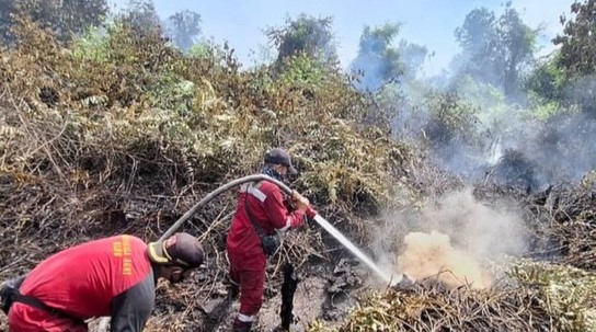 Karhutla Riau