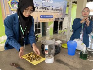 Sabun kulit pisang