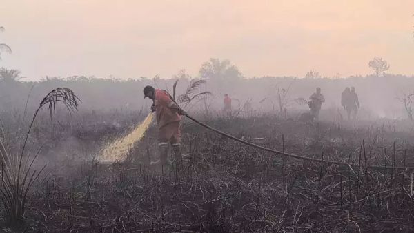 Kabut Asap Karhutla Riau mulai Mengancam Kesehatan Warga