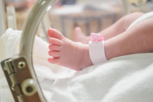 Pegawai Dukcapil Terlibat Perdagangan Bayi