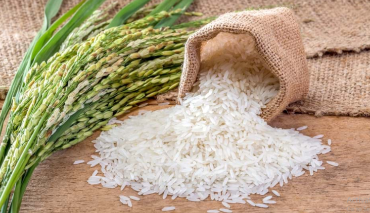 Pemerintah akan Seragamkan Harga Beras Setelah Label Premium Dihapus Harga Beras Akan Diseragamkan: