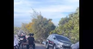 Pohon Banda Aceh