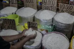 Terungkap! 14 Perusahaan Diduga Terlibat Beras Oplosan
