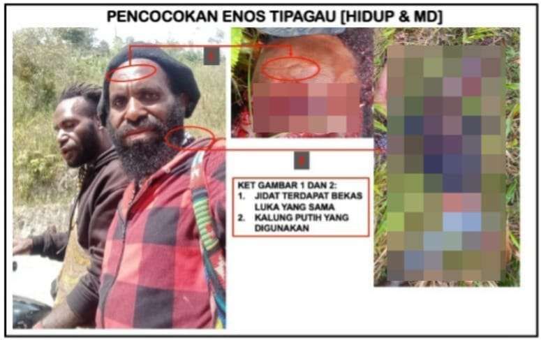 Tokoh OPM Enos Tipagau Berhasil Dilumpuhkan TNI