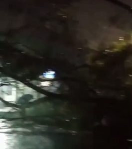 Pohon Beringin di Sumber Sari Bandung Tumbang, Timpa Mobil dan Warung