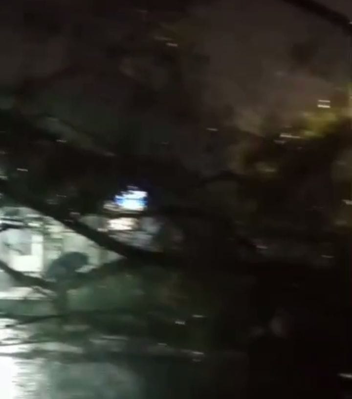Pohon Beringin di Sumber Sari Bandung Tumbang, Timpa Mobil dan Warung