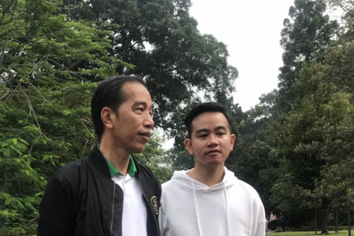 gibran jokowi