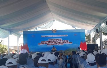 koperasi desa merah putih-3