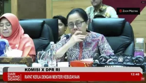pemerkosaan fadli zon