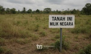 tanah terlantar
