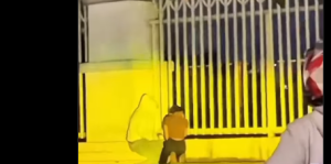 viral mesum pakansari