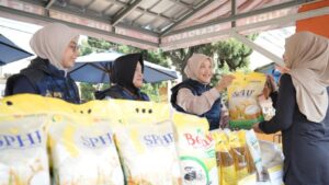 Bantuan Pangan Judol