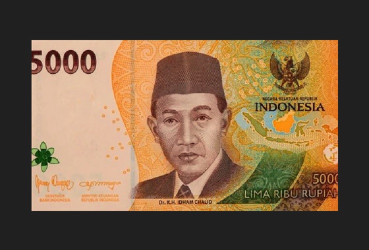 Profil Anggota DPR RI Idham Chalid (Shuterstock)