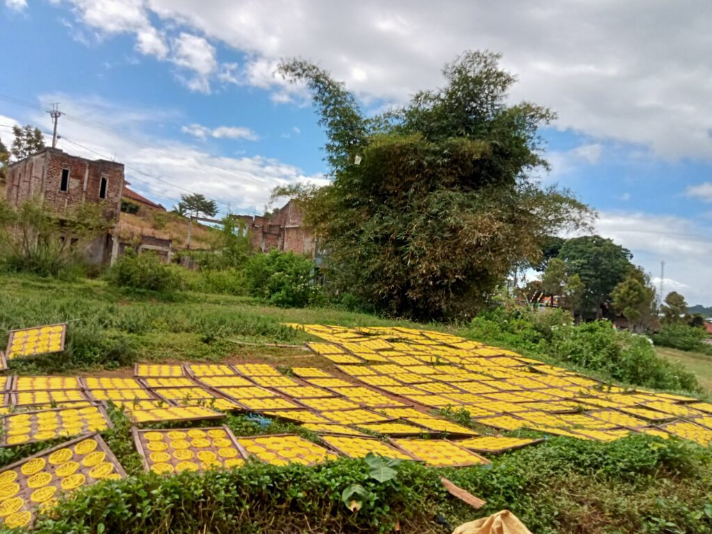 UMKM Patrolsari