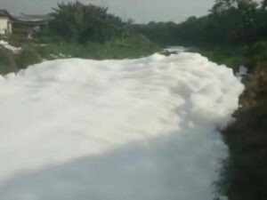 Busa putih Kali Cilemahabang